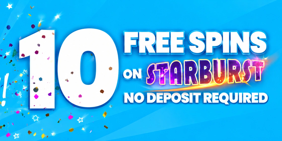 Dear Bingo